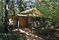 View of a secluded rainforest cabin 