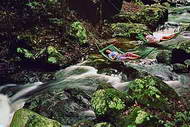 Crystal Creek hammock