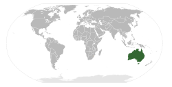 Wikipedia globe image
