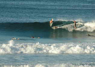 Coolangatta Beach surfers